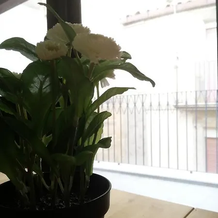 Apartament Il Duomo *